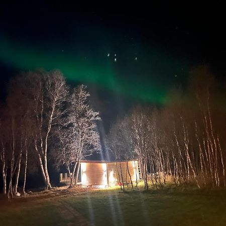 Cottage With Good Standard Next To Neiden River Eksteriør bilde