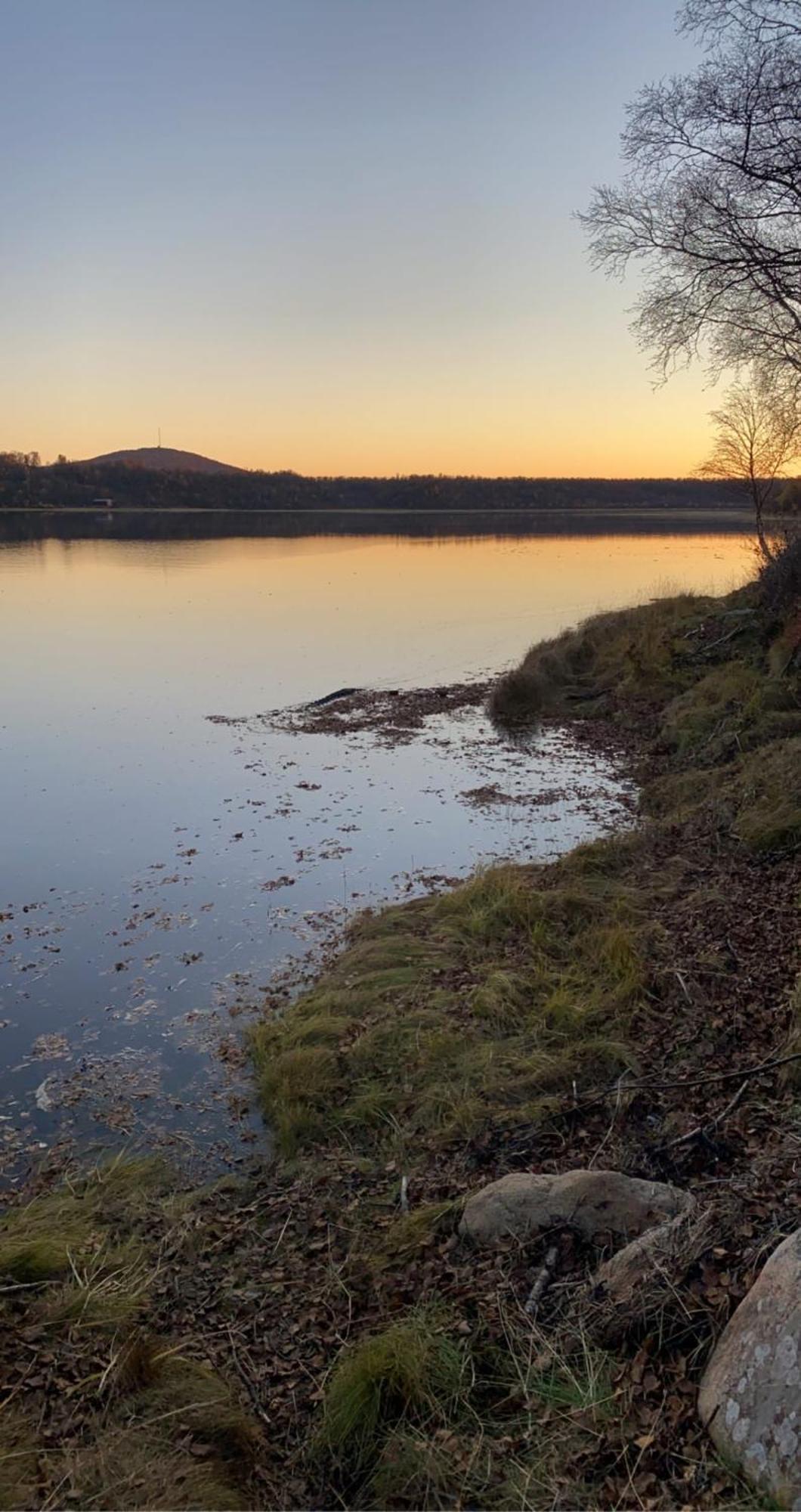 Cottage With Good Standard Next To Neiden River Eksteriør bilde